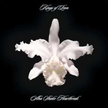 2LP Kings Of Leon: Aha Shake Heartbreak