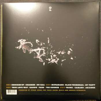 2LP Kings Of Leon: Because Of The Times