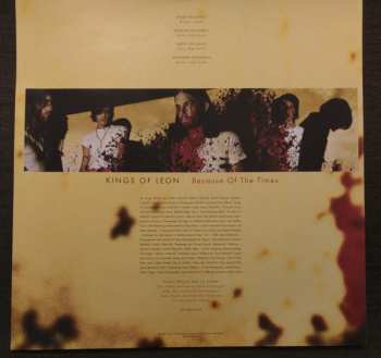 2LP Kings Of Leon: Because Of The Times
