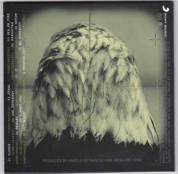 5CD/DVD/Box Set Kings Of Leon: The Collection Box