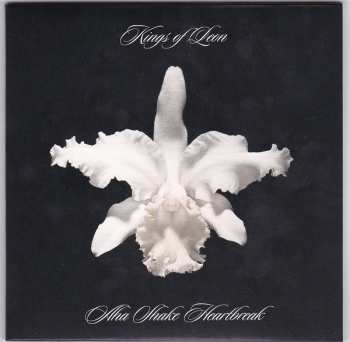 5CD/DVD/Box Set Kings Of Leon: The Collection Box