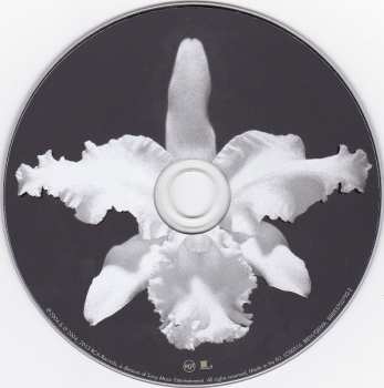 5CD/DVD/Box Set Kings Of Leon: The Collection Box