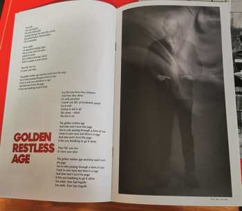 2LP Kings Of Leon: When You See Yourself LTD | CLR