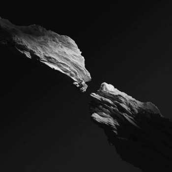 LP Kinkajous: Being Waves