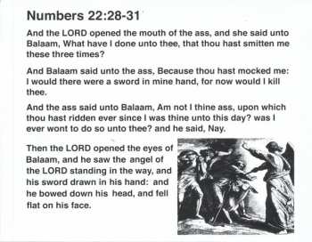 CD Knights Of The New Crusade: A Challenge To The Cowards Of Christendom