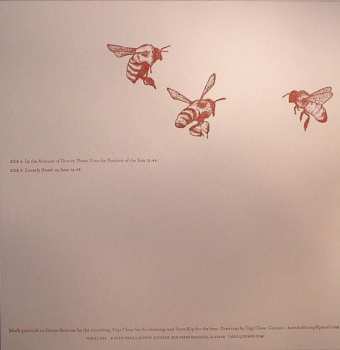 LP Koen Holtkamp: Gravity/Bees LTD