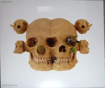 Kohoutek: Lossless Loss