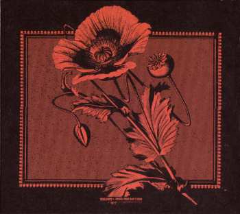 Album Kollaps: Until The Day I Die
