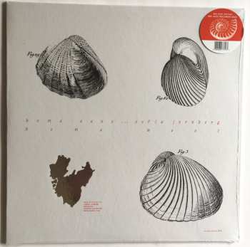 Album Koma Saxo: Koma West