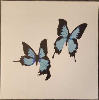 LP Korine: Tear CLR