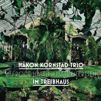 CD Kornstad Trio: Im Treibhaus