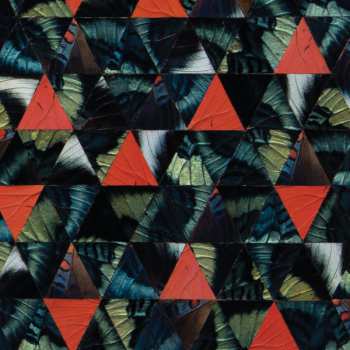 2CD Kris Davis: Diatom Ribbons Live At The Village Vanguard