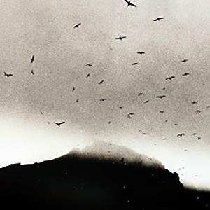 LP/CD Kris Drever: If Wishes Were Horses