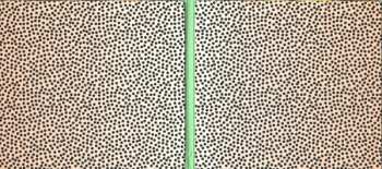 CD La Bronze: La Bronze