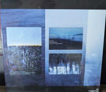 LP La Lune: Disparity CLR | LTD