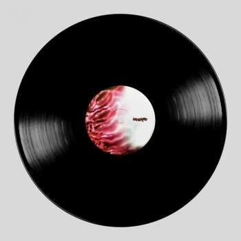 LP Lady Gaga: Chromatica DLX | LTD