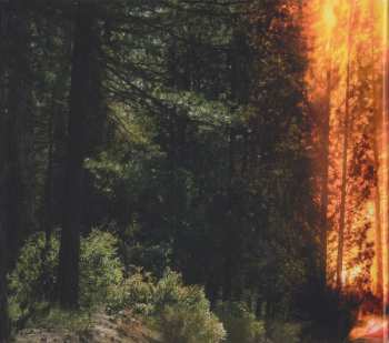 CD Ladytron: Ladytron