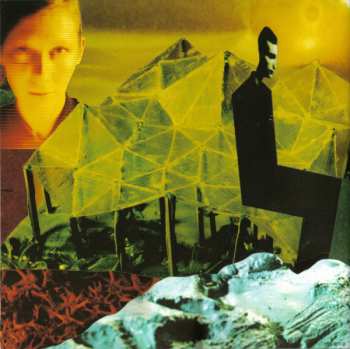 CD Lamb: Fear Of Fours