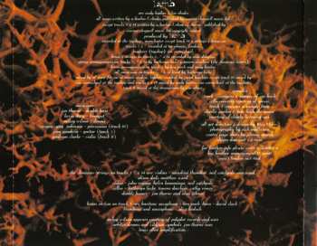 CD Lamb: Fear Of Fours