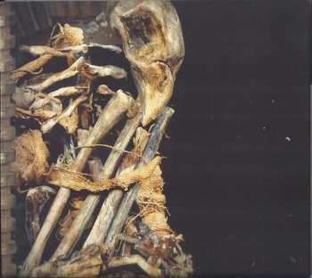 CD Lamb Of God: VII: Sturm Und Drang LTD | DIGI