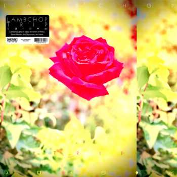 LP Lambchop: Trip