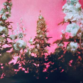 2LP Lana Del Rey: Did You Know That There’s A Tunnel Under Ocean Blvd CLR | LTD