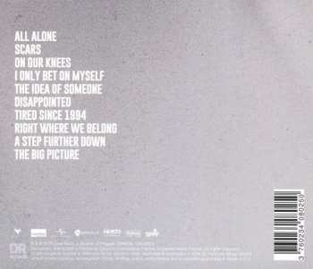 CD Last Train: The Big Picture PIC