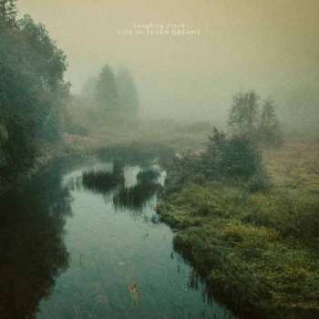 Album Laughing Stock: Life In Seven Dreams