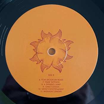 LP Laura Veirs: Troubled By The Fire