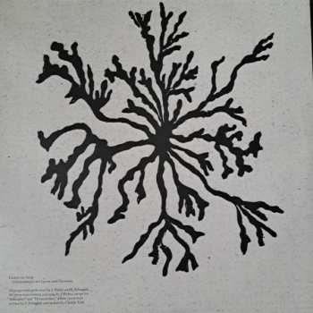 LP Läuten Der Seele: Unterhaltungen Mit Larven Und Überresten LTD