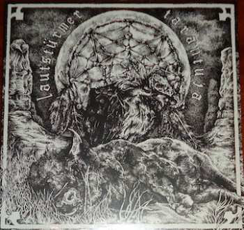 LP Lautstürmer: Split LP