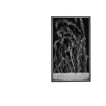 Album Lawrence: Deep Summer Hole