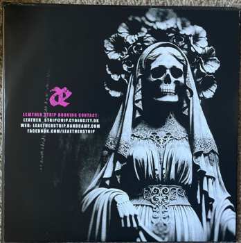 LP Leæther Strip: Æppreciation VII CLR | LTD