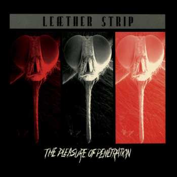 LP Leæther Strip: The Pleasure Of Penetration