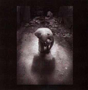 2CD/Box Set Leæther Strip: Yes I'm Limited V LTD