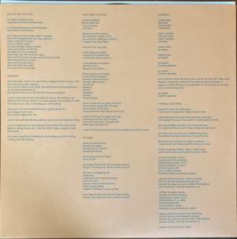 LP Leanne Betasamosake Simpson: Live Like The Sky LTD