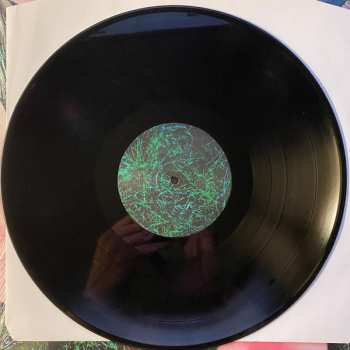 LP Lee Paradise: & Co