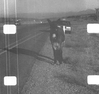 Album Lee Ranaldo: Ambient Loop For Vancouver