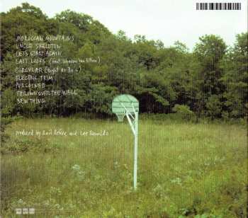 CD Lee Ranaldo: Electric Trim