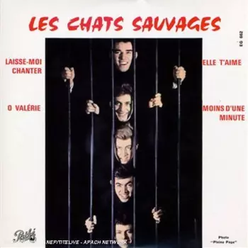 Les Chats Sauvages: Laisse-moi Chanter