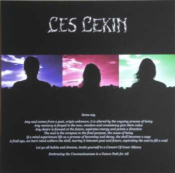 LP Les Lekin: Died With Fear LTD | CLR