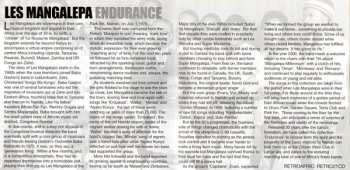 CD Orchestra Les Mangelepa: Endurance