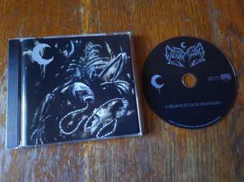 CD Leviathan: A Silhouette In Splinters