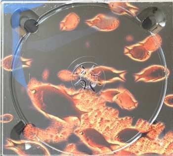 CD Tom Rainey: Romance Among The Fishes