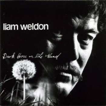 Album Liam Weldon: Dark Horse On The Wind