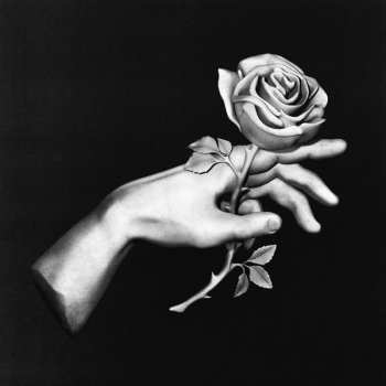 Album Liberato: Liberato II