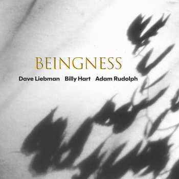 Album Liebman,dave / Hart,billy / Rudolph,adam: Beingness