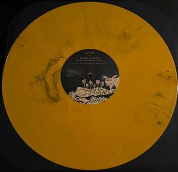 2LP Bright Eyes: Lifted Or The Story Is In The Soil, Keep Your Ear To The Ground CLR