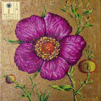 LP Marketa Irglova: LILA LTD | CLR