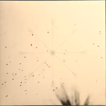 Linalab: Desire Paths